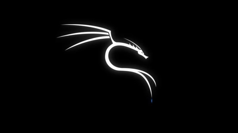 Kali linux nedir?