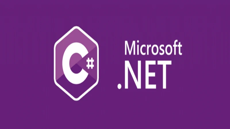 .net core projesi nasıl canlıya alınır?